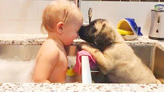 Funniest Baby And Animal Compilation Video #6 by Lovers Baby 2,966 views 1 year ago 1 minute, 23 seconds