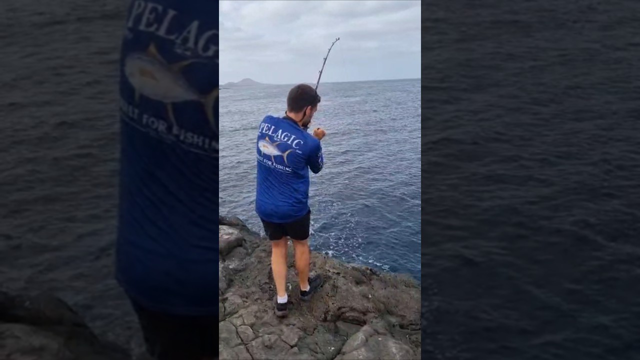 LAND BASED FISHING - FIGHT #6 - 2026FWU - INSHORE EXPERIENCE FISHING CAPE VERDE SAL ISLAND 