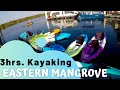 3hrs KAYAKING at EASTERN MANGROVES Abu Dhabi