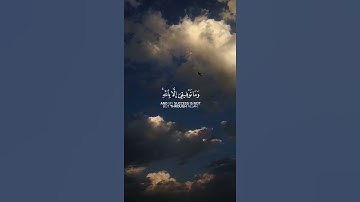 "وما توفيقي إلا بالله عليه توكلت وإليه أنيب" ماهر المعيقلي ❤️ ـ تلاوة خاشعة