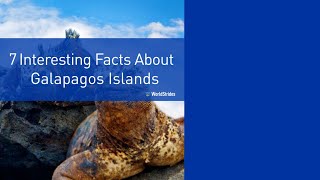 7 Interesting Facts About the Galapagos Islands