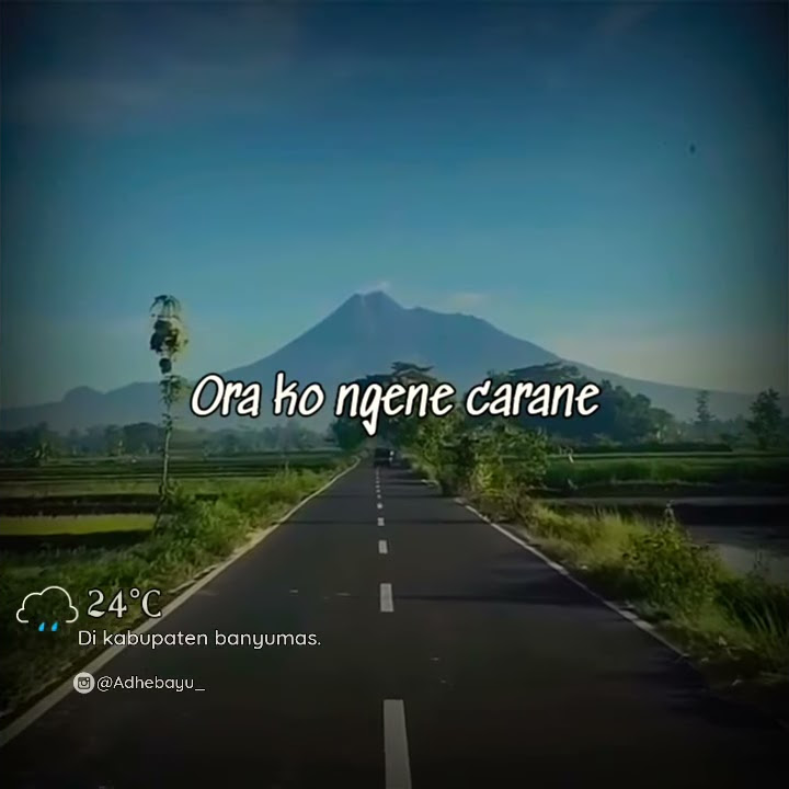 Kira-kira ra tresno, ora kok ngene carane @story whatsapp