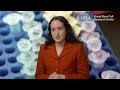 Creating a germ cell screening pipeline to combat infertility | Auriana Arabpour