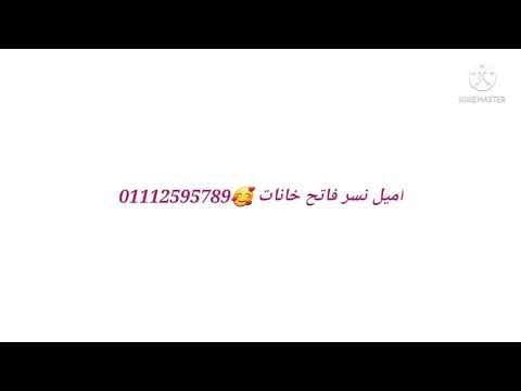 ايميل ولف مجانا