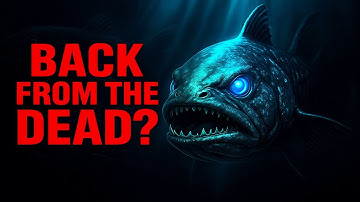 The Animals That Refused to Stay Extinct