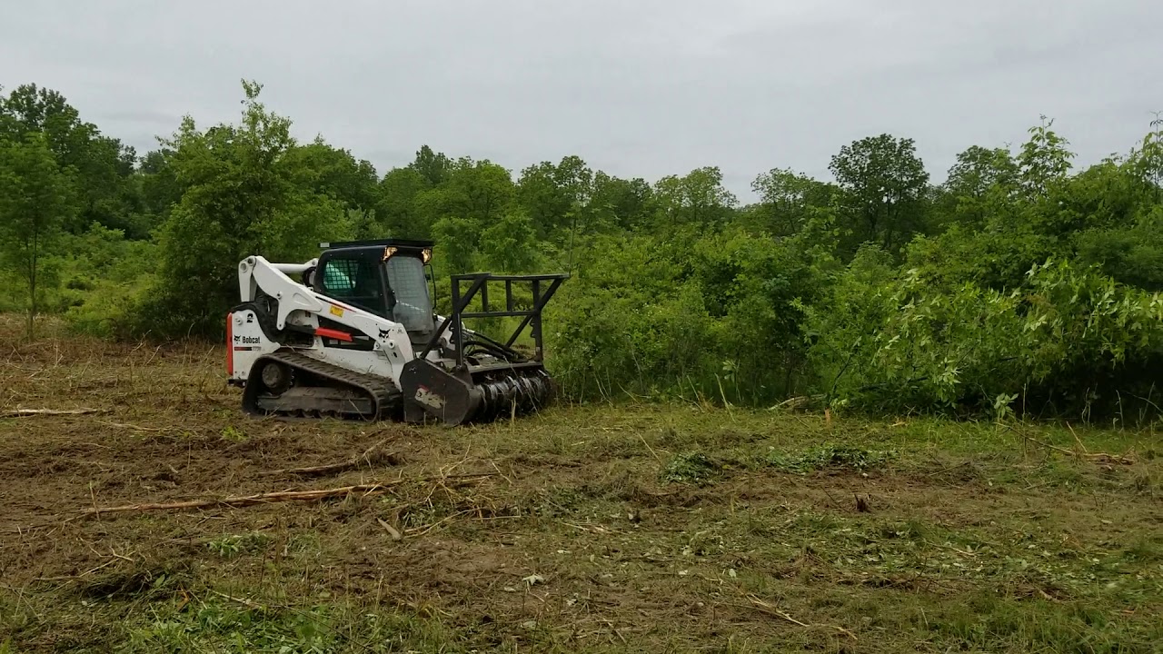 Land Clearing with a Forestry Mulcher - YouTube