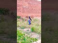 Zindagi milegi fr na dubara #bholenath #motivation #villagelife viral video
