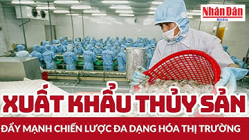 Xuất khẩu thủy sản đẩy mạnh chiến lược đa dạng hóa thị trường | Báo Nhân Dân