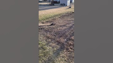 Traxxas Bandit VXL in the Dust