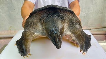 Cách làm ba ba nấu chuối đậu ngon nhất // Sơn Hào