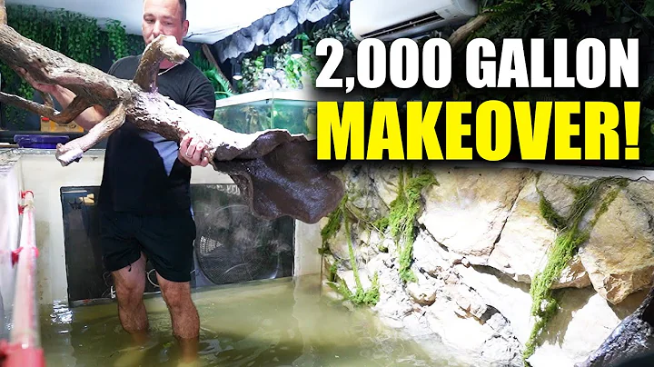 2,000 GALLON AQUARIUM  gets a makeover  - 2025 edition  - the king of DIY thumbnail