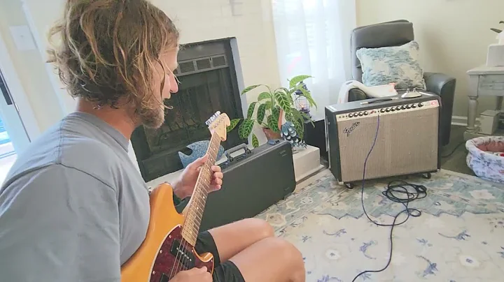 1976 Fender Twin Reverb Amp Demo