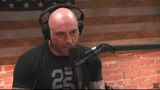 Intelligent Joe Rogan's Powerful Conversation
