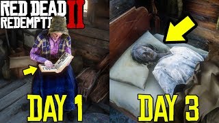 Secret Ending Found In Red Dead Redemption 2