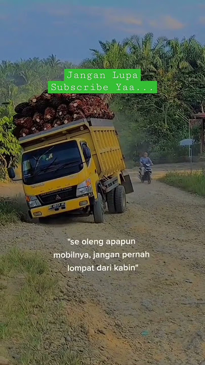 driver truck sawit||sikuning oleng#sorts #sawit