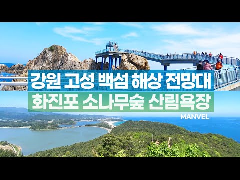 [맨블] 강원 고성여행 백섬전망대 | 화진포 소나무숲 산림욕장