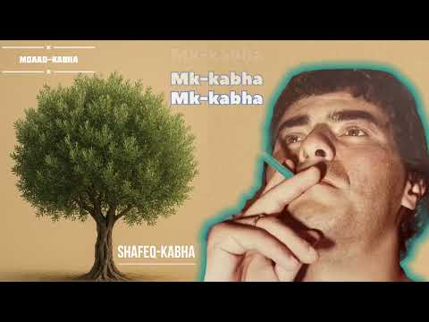 شفيق كبها اجمل ما غنى ساعة ونص      5