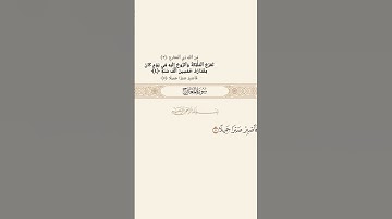 سورة المعارج#قرآن #قرآن_كريم #قران #قران_كريم #حالات #اكسبلور #رمضانمبارك #دويتو #لايك #duet #فلسطين