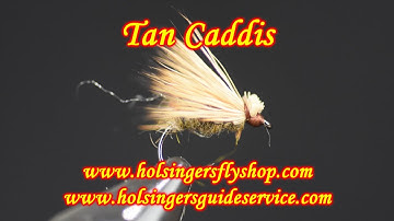 Tan Caddis, Holsinger