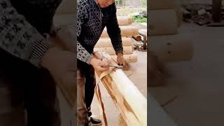 cool technique of peeling tree bark for craft materials #shorts