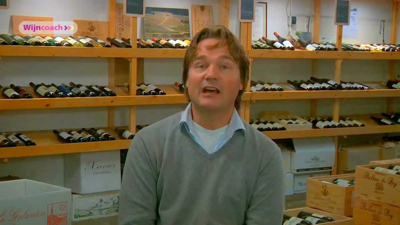 Wijncoach Joris - Wijnland Chili