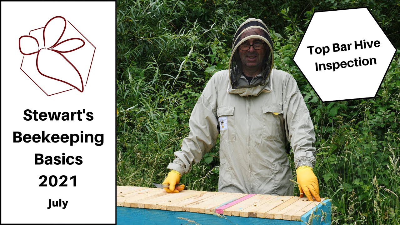 July Top Bar Hive Inspection YouTube
