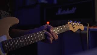 Marshall JCM800 2204 | Forsberg Mod | Testing Dynamics