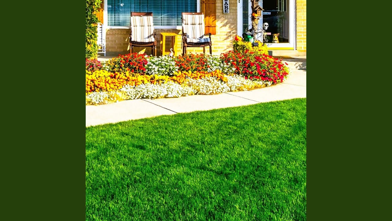 Cari Aman Buang Badan