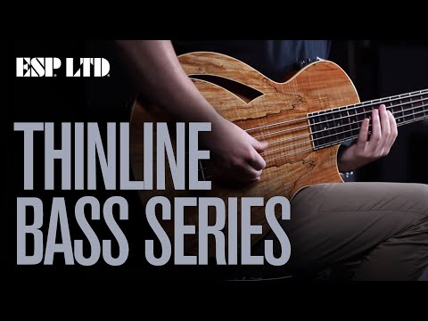 esp-ltd-thinline-bass-series---5-string-&-fretless-introduced