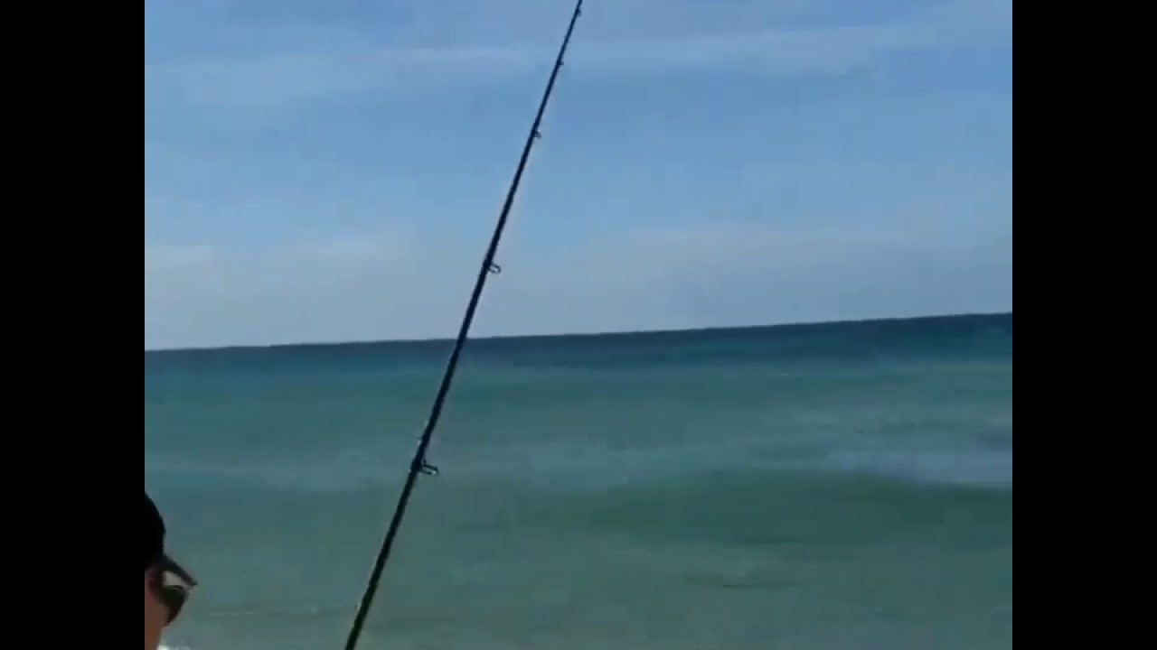 Cape Cod surfcasting for striped bass, exciting topwater strikes!!!! YouTube