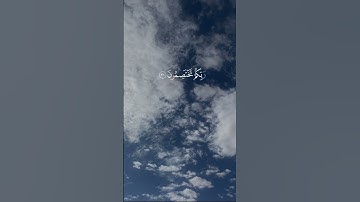 انك ميت وانهم ميتون #تلاوة