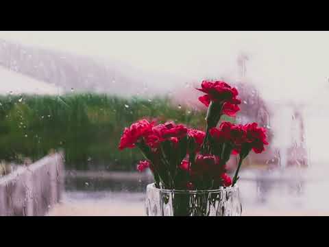 huzur veren yağmur sesi