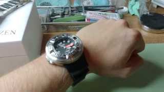 citizen promaster 300m professional diver