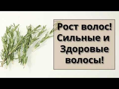 Розмарин для роста волос! Уход за волосами!