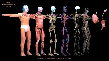 Biofeedback Scanning