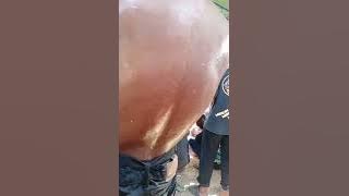 jaranan Sido sukun Kaltim sambaliung GG Garuda