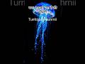 about Turritopsis dohrnii jelli fish...#amazing