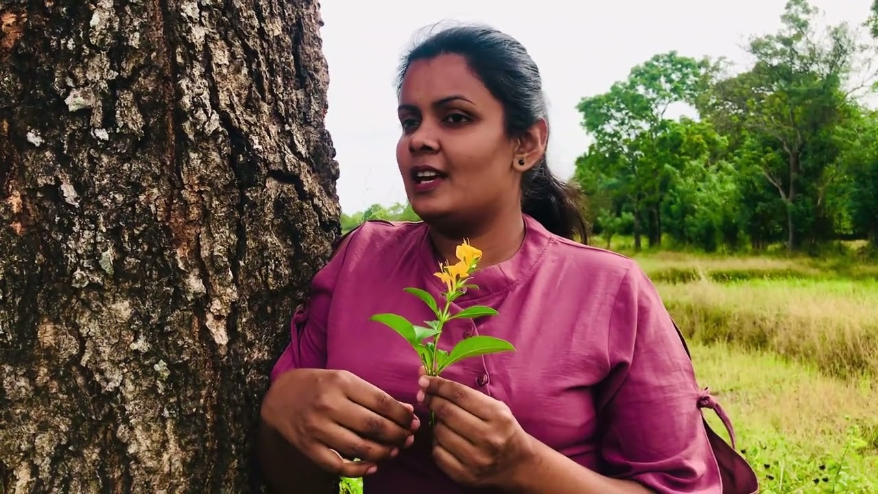 ගොවි අරගලය , වපුරමු ආදරය ගෙට ගමු අස්වැන්න මිගාර බමුණුසිංහ සමග කෞෂිමද්දුම බණ්ඩාර