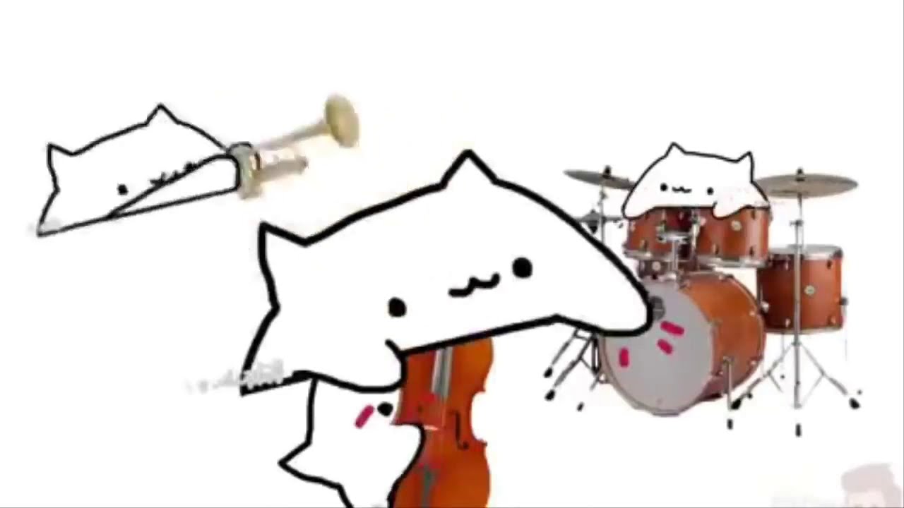 bongo cat best compilation - YouTube