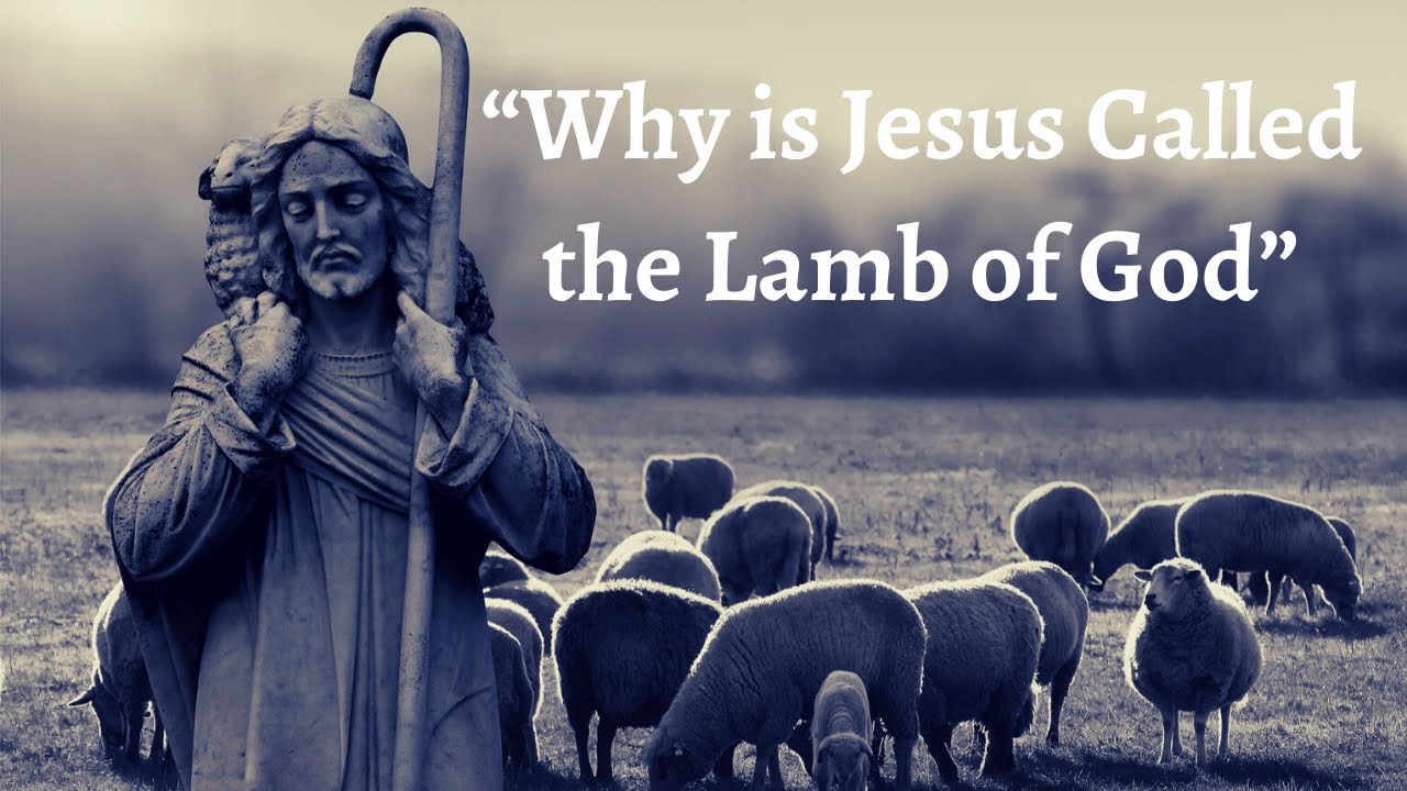 Why Is Jesus Called The Lamb Of God YouTube Why Is Jesus Called The Lamb Of God YouTube