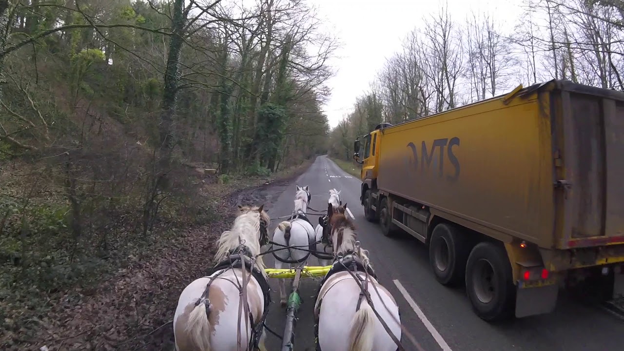 Driving in a Four In Hand with Experienced Leaders and Novice Wheelers YouTube