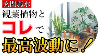 【玄関風水】観葉植物＋〇〇で家全体を最高波動に！幸せなお金持ちの玄関風水５選　お金だけでなく愛・仕事・人間関係すべての幸運を引き寄せる玄関風水５つ。簡単で確実な玄関の運気アップ法の決定版。必見です！