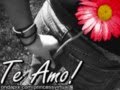 **YO TE HICE MUJER**-POLO MONTANEZ HD