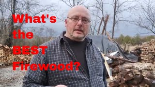 What Is The Best Firewood & Characteristics Of Different Species. How To Pick The Right Type