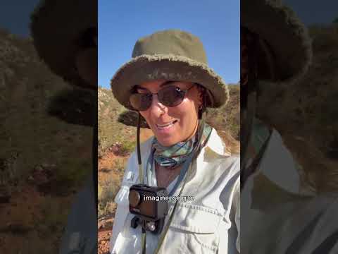 Nunca viajen sin seguro de viajes #segurodeviaje #socotra