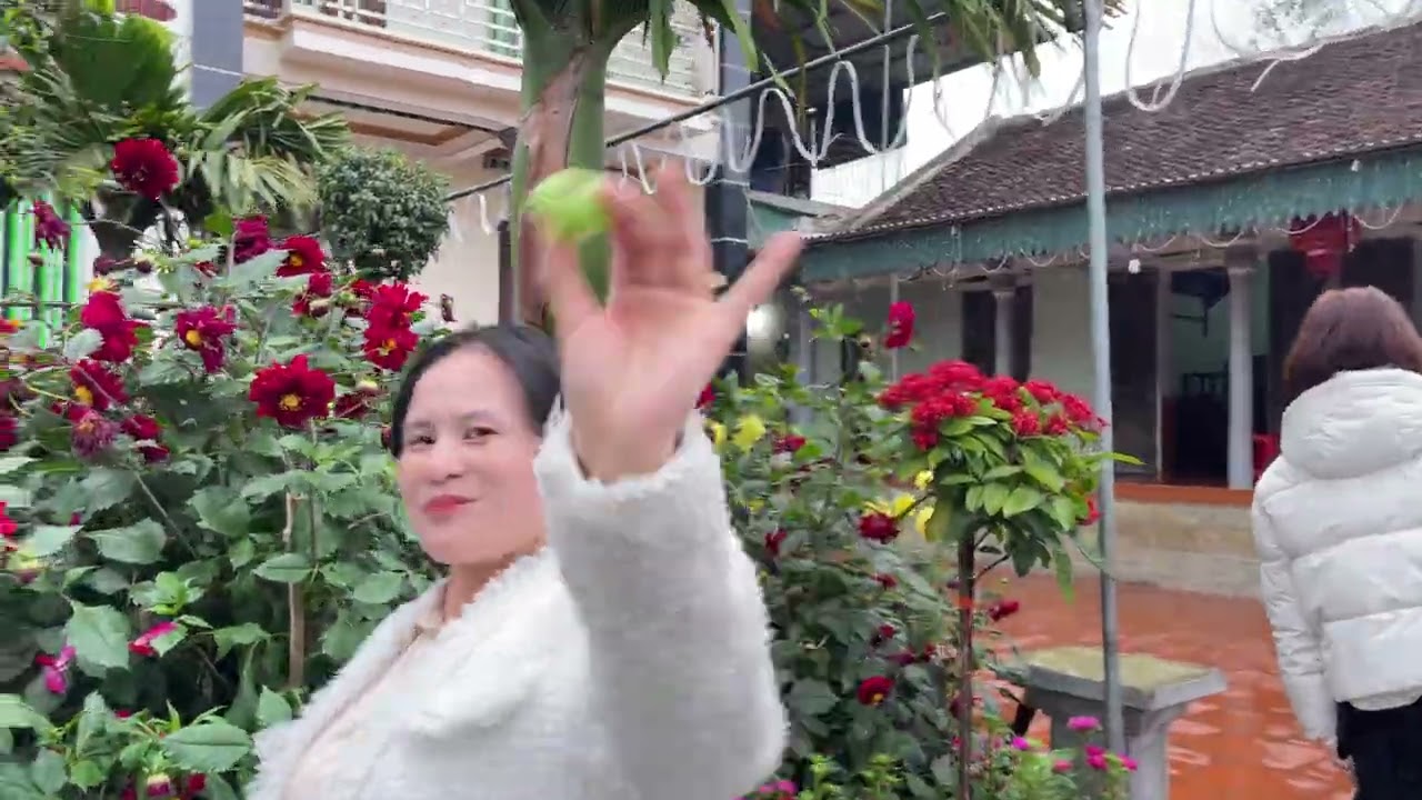 Hành trình đón Tết tập 27