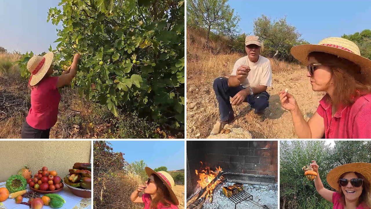 O CAMPO É UM LUGAR DE GRANDE RIQUEZA- LEGUMES FRESCOS 🥬🥒🍎