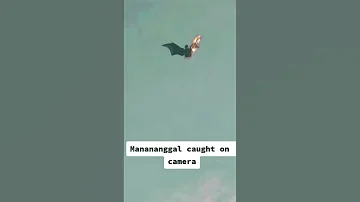 MANANANGGAL WAK WAK 