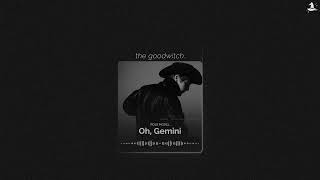 oh, gemini || role model || slowed + reverb Net Worth