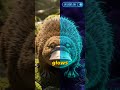 This Animal Has No Eyes Underwater And Still Hunts You